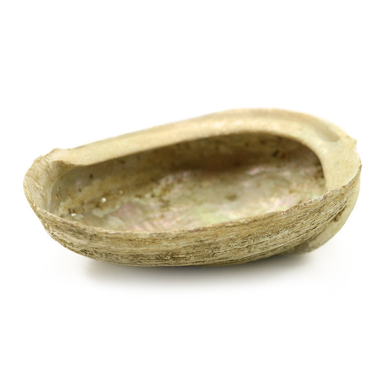 Sacred White Sage Smudge Bundles – Energy Cleansing & Spiritual Purification