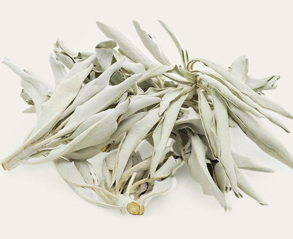 Sacred White Sage Smudge Bundles – Energy Cleansing & Spiritual Purification